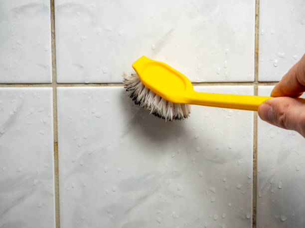 Best Mold Removal Near Me  in Brewster, NY