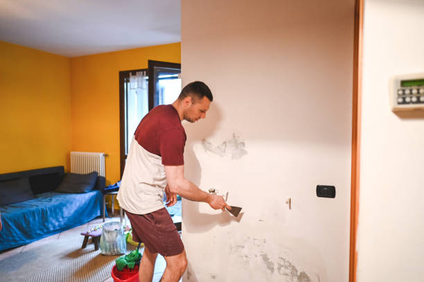 Professional Mold Removal in Brewster, NY